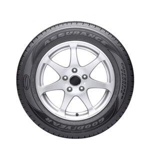 Perfect Titanium Tire Cover (18 inches)